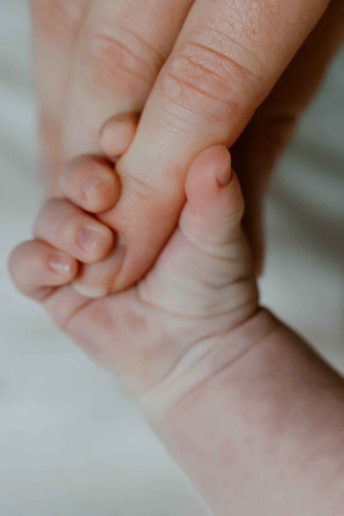 Main d'un adulte et d'un premature